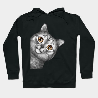 Gray cat Hoodie